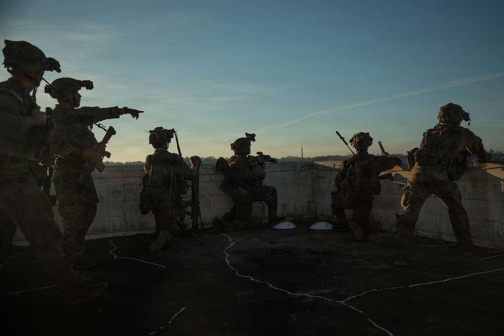 A group of military personnel in full tactical gear are positioned on a rooftop at dusk or dawn, appearing to conduct a tactical operation or training exercise. The soldiers are equipped with helmets, night vision devices, body armor, and weapons. One soldier on the left is pointing in a direction, suggesting coordination or command communication.