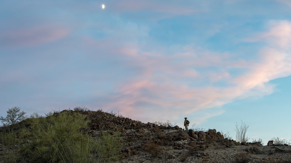 A lone figure stands atop a rocky desert hill at dusk or dawn, silhouetted against a pastel sky with pink-tinged clouds and a visible crescent moon. The landscape is characteristic of a Sonoran or Chihuahuan desert environment, featuring sparse desert vegetation including ocotillo, palo verde, and scrub brush. The wide-angle composition emphasizes the vastness of the sky relative to the small human presence on the terrain.