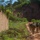 Multinational Force Leaders Conduct Recon Prior to FTX SV26