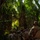Multinational Force Leaders Conduct Recon Prior to FTX SV26