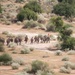A group of approximately 20 military personnel in camouflage uniforms and full gear are conducting a foot march along a dirt trail through arid desert scrubland. One individual near the front of the group is carrying a red guidon flag, suggesting an organized unit movement or training exercise. The image is taken from an elevated vantage point, providing a wide aerial-style perspective of the formation and surrounding terrain.