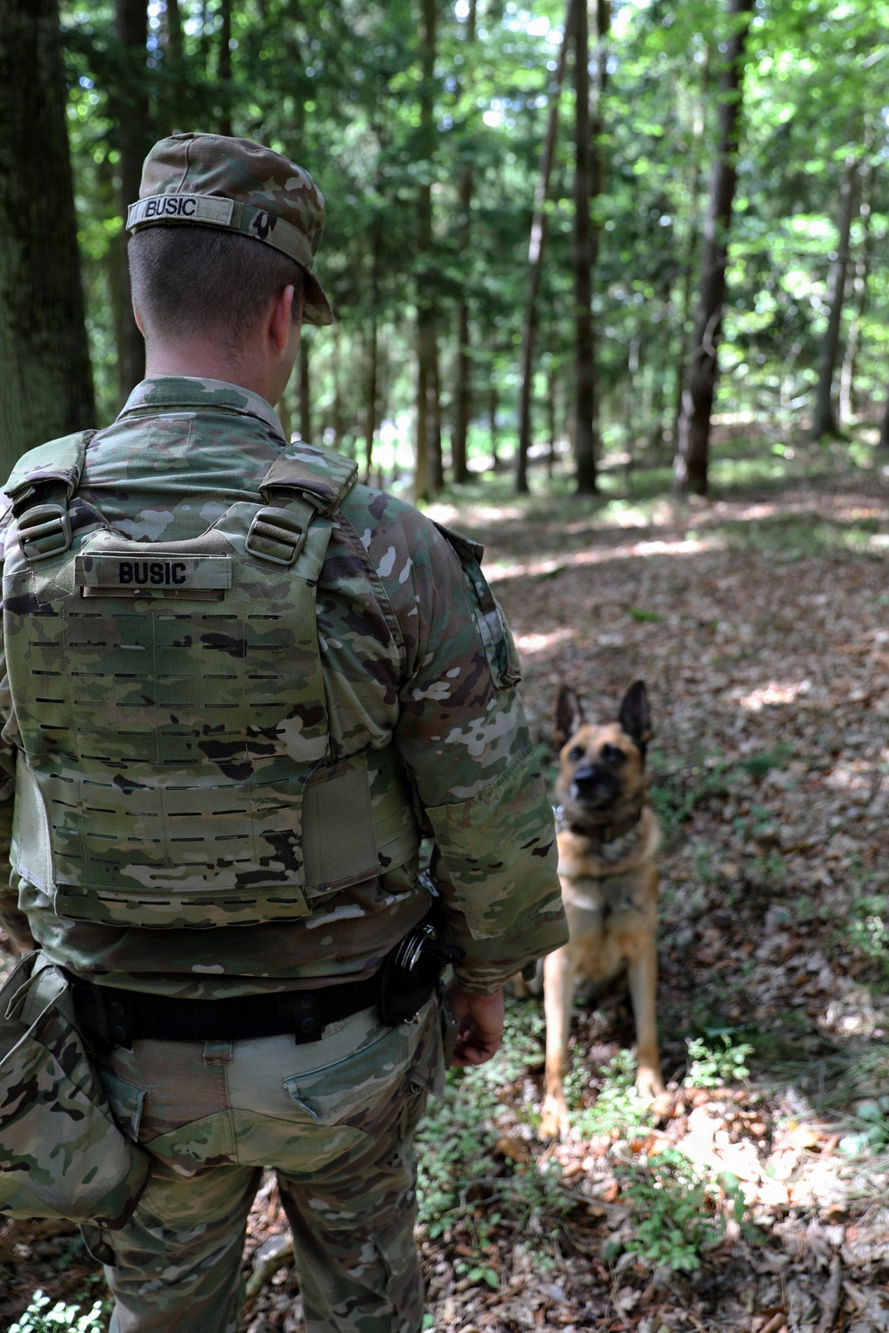 A military or law enforcement handler named 'BUSIC' wearing OCP/MultiCam camouflage uniform and plate carrier vest stands in a wooded area facing a Belgian Malinois military working dog. The dog is seated attentively in front of the handler, suggesting a training or patrol exercise. The setting appears to be a forested training area during daylight hours.