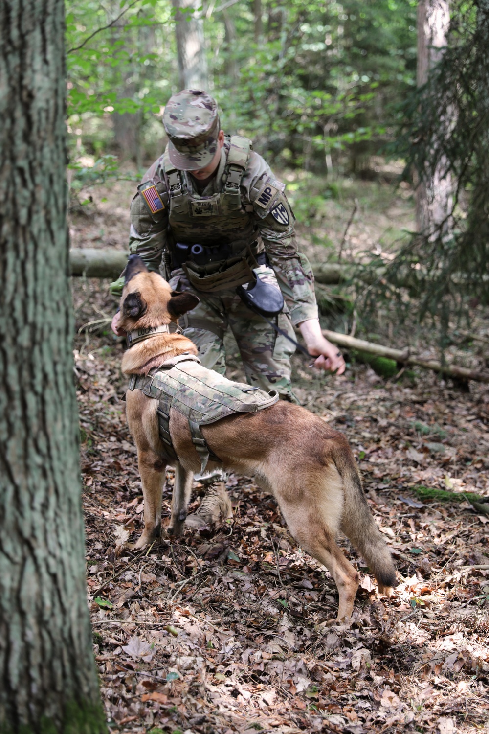 A U.S. Army Military Police (MP) soldier in MultiCam/OCP camouflage uniform interacts with a military working dog (MWD) in a wooded forest setting. The dog, wearing a tactical camouflage vest with a name tag reading 'LUCKY', appears to be a Belgian Malinois. The scene likely depicts a K9 handler training exercise or operational patrol.