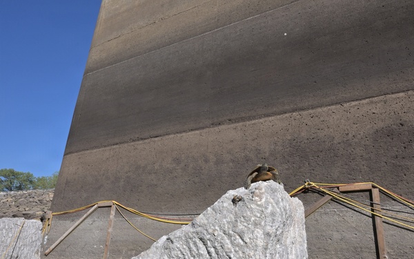 The image shows a large, rough-textured stone or concrete monolith in the foreground, positioned at the base of a massive smooth concrete wall or dam structure. Yellow safety ropes are strung between metal support frames in the background, suggesting an active construction or excavation site. A small bird is perched at the top of the rough stone formation.