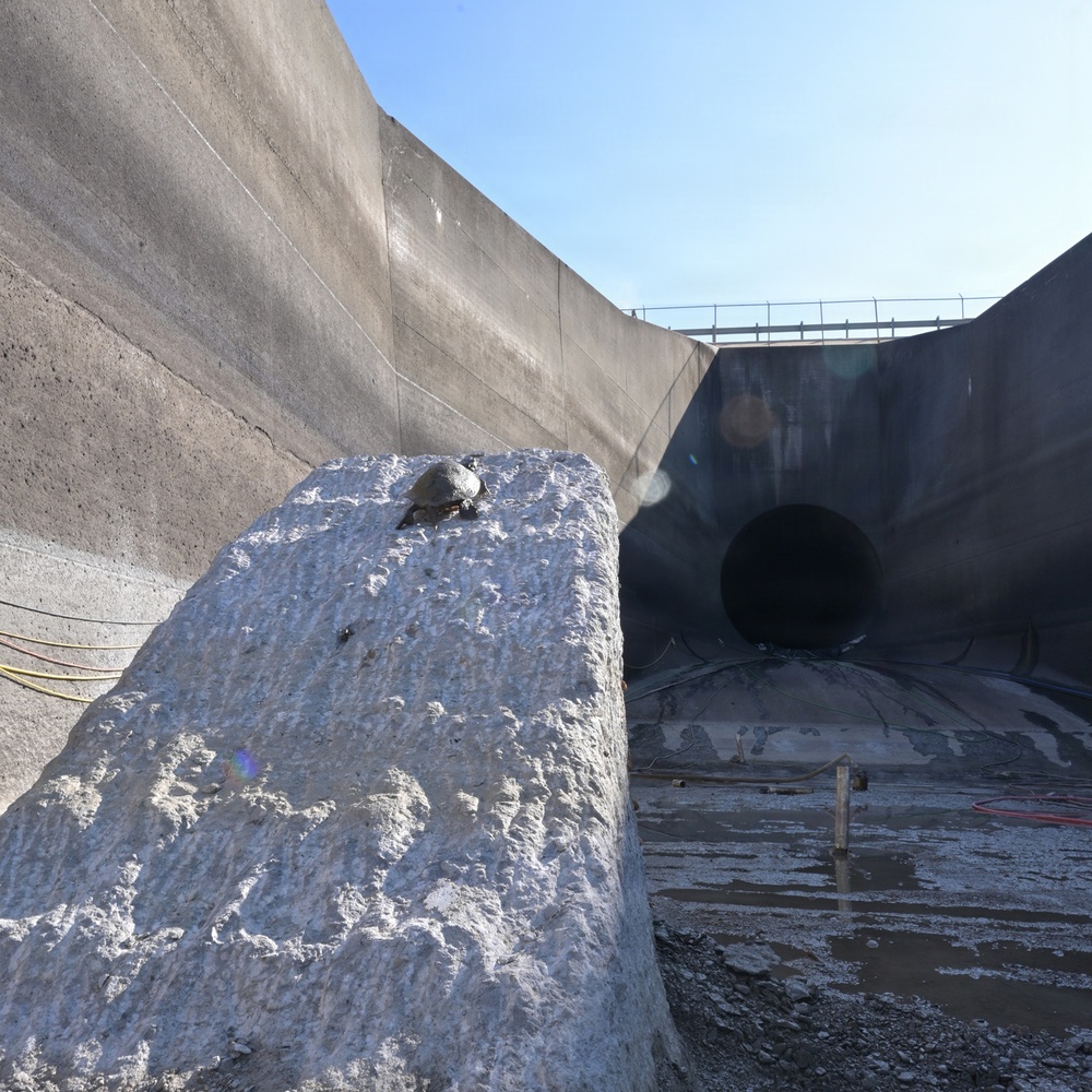 The image shows a large concrete dam or spillway structure photographed from a low angle, revealing a circular tunnel opening or outlet portal at its base. A rough-textured concrete or stone block is prominently visible in the foreground, with a small turtle resting on top of it. The structure appears to be in a dewatered or low-water condition, with wet ground, hoses, and construction equipment visible at the base.