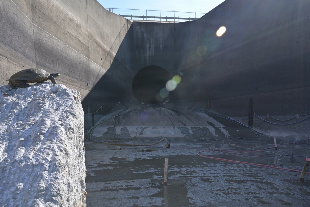 A turtle is perched on a white concrete or stone block in the foreground, while the background shows a large concrete structure — likely a dam spillway or drainage basin — that is currently drained and under maintenance or construction. A large circular tunnel opening is visible in the curved concrete wall, and construction hoses and equipment are scattered across the wet, muddy floor. The contrast between the small wildlife subject and the massive industrial infrastructure is a notable compositional element.