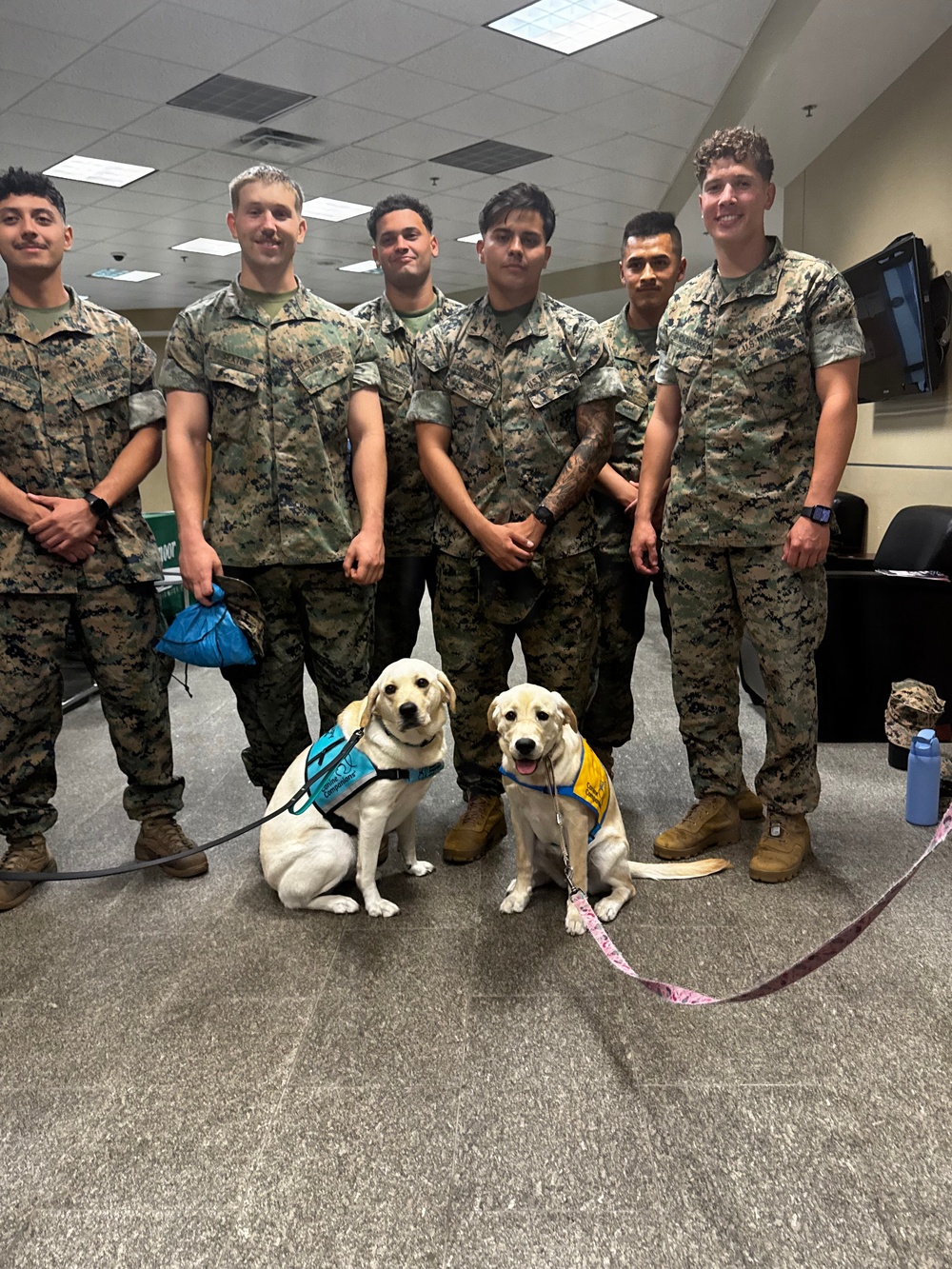Six U.S. Marines in MARPAT camouflage uniforms pose indoors with two yellow Labrador Retrievers wearing service/therapy dog vests. The dogs appear to be service dog candidates or therapy dogs, identifiable by their colored vests (teal/blue and yellow). The setting appears to be an indoor military facility or office space.