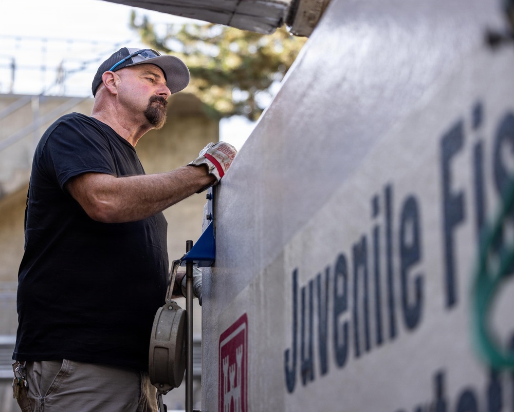 A middle-aged man wearing a black t-shirt, gray cap, and work gloves is leaning over or operating equipment next to a large tank or container labeled 'Juvenile Fi[sh]'. The setting appears to be an outdoor fish hatchery or juvenile fish facility. The image is a close-up, candid-style photograph taken in natural daylight.