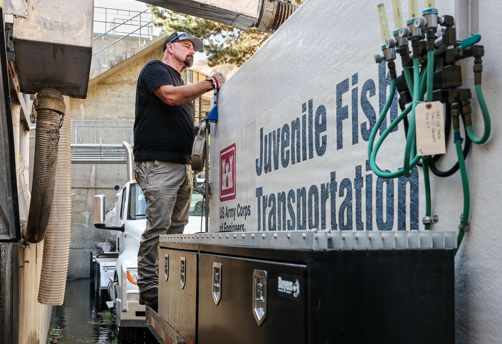 A worker is operating equipment on a US Army Corps of Engineers 'Juvenile Fish Transportation' truck or tanker vehicle. The man is standing on the side of the large specialized transport unit, appearing to manage connections or controls. The setting appears to be a fish facility or dam infrastructure site.