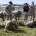 A group of U.S. Army soldiers are engaged in a physical training or assessment activity on a grass field. Two soldiers are performing push-ups on the ground while others stand over them observing or supervising. Several soldiers are wearing distinctive black cavalry-style cowboy hats, suggesting a cavalry unit affiliation.