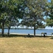 Old Hickory Lake drawdown to assess shoreline conditions in November
