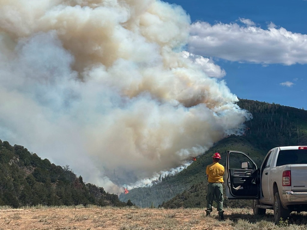 A wildfire burns across a forested mountainside, producing a massive plume of white and tan smoke that dominates the sky. A firefighter in standard wildland fire gear stands beside an open pickup truck door, observing the fire from a safe distance in an open field. Visible flames can be seen along the tree line on the hillside.