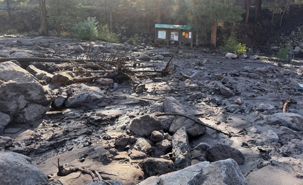 The image shows the aftermath of a debris flow or flash flood event in what appears to be a forested mountain area. Large boulders, uprooted trees, broken branches, and thick sediment/mud have been deposited across a wide area. A park or trailhead information kiosk with a green roof remains standing in the background, surrounded by the destruction.