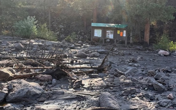 Wildfire and shared stewardship: Before and after