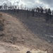 The image shows a hillside severely affected by a recent wildfire, with charred and blackened tree trunks scattered across the slope. A clear fire line is visible, with burned vegetation on the right side contrasting with partially surviving green trees on the upper left. A dirt road or firebreak runs along the base of the hill, with debris and cut brush piled nearby.