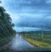 Calm during the storm: Protect your financial future from disasters before they hit
