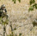 Three individuals in military-style tactical gear are positioned in an open field of dry grass, partially obscured by foreground foliage. The central figure is crouching and examining what appears to be a tablet or document, while a second figure sits to the right and a third is partially visible on the left. The setting and equipment suggest a field exercise, reconnaissance, or operational planning activity.