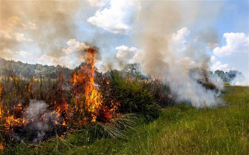Fort Knox Prescribed Burn 3