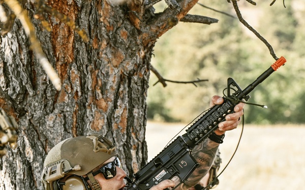 Operation Soaring Eagle