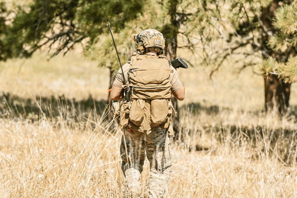 A military EOD (Explosive Ordnance Disposal) technician is walking away from the camera through a dry grassland area with sparse pine trees in the background. The individual is wearing full tactical gear including a helmet marked 'EOD', a tan/coyote plate carrier, camouflage pants, and is carrying a large tactical backpack. The setting appears to be a training or operational environment in an arid, open terrain.