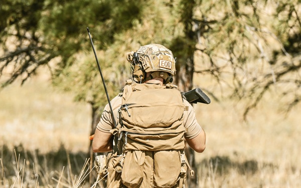 Operation Soaring Eagle
