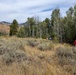A group of people are walking along a dirt path through a high-elevation landscape characterized by sagebrush, dry grasses, and aspen trees. The terrain features golden-brown hillsides in the background, suggesting late summer or early autumn conditions. The scene appears to be a guided outdoor tour or field visit in a western mountain environment.