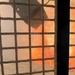 Plaskett Fire