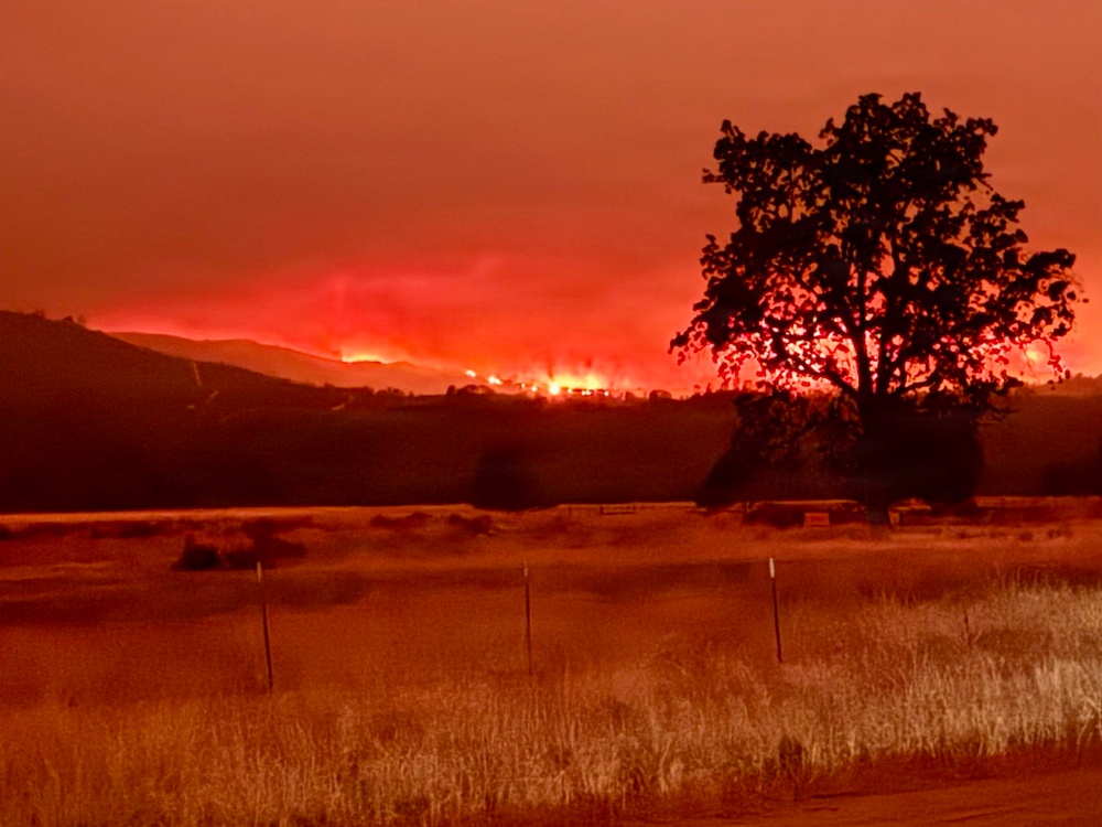 Plaskett Fire