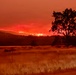 Plaskett Fire