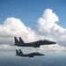 Two dark-colored military fighter jets, identifiable as F-15 Eagles, are flying in formation over a rural landscape. The aircraft are photographed from a slightly elevated angle, with large cumulus clouds visible in the background. The tail code 'SJ' is visible on the lead aircraft, indicating assignment to Seymour Johnson Air Force Base.