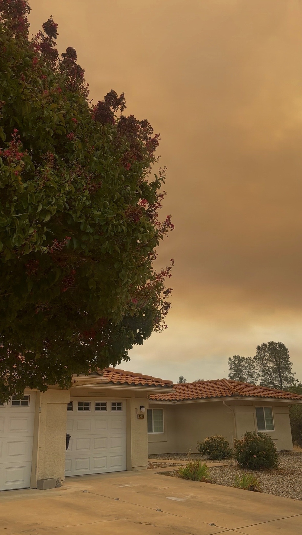 Plaskett Fire