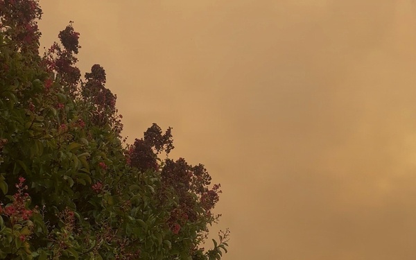 Plaskett Fire