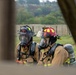 Two firefighters in full personal protective equipment are photographed through a gap in a wooden structure, suggesting a training exercise or active scene. Both wear MSA brand self-contained breathing apparatus (SCBA) and turnout gear. One wears a black helmet marked '188' and 'FIREFIGHTER,' while the other wears a red helmet.