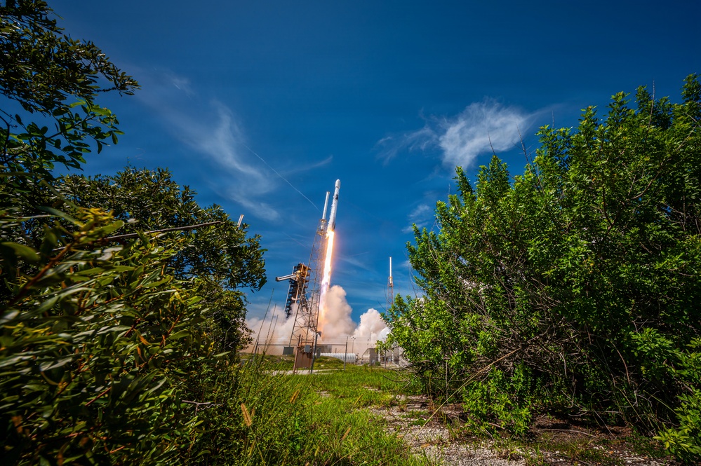 A rocket is captured mid-launch from a ground-level perspective framed by dense green vegetation on both sides. The rocket, consistent in appearance with a SpaceX Falcon 9, is ascending with a bright orange flame and billowing white exhaust plume visible at the base. The image was taken during daytime under a vivid blue sky with scattered cirrus clouds.