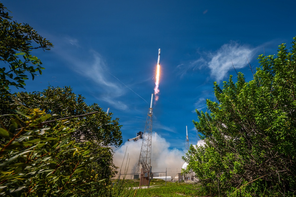 A rocket is captured mid-launch, ascending steeply into a clear blue sky with visible engine flames and exhaust plumes. The photo is taken from a low angle through surrounding vegetation, providing a dramatic ground-level perspective of the launch. The launch infrastructure, including a lightning rod tower and support structures, is visible at the base.