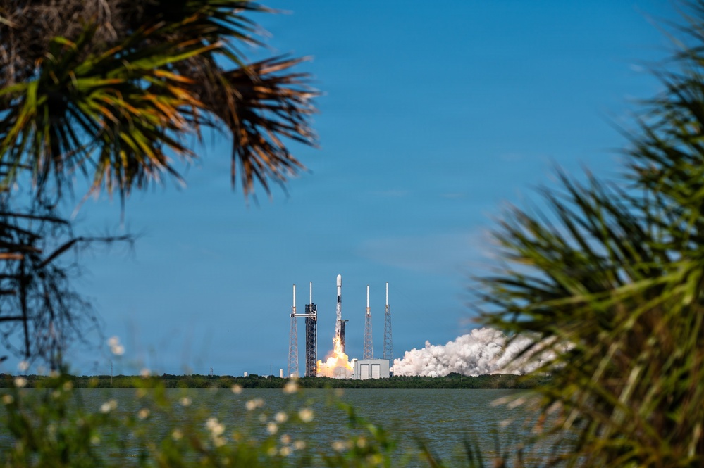 A rocket is captured at the moment of liftoff from a coastal launch pad, photographed from across a body of water through framing palm and scrub vegetation. Large plumes of white exhaust smoke billow around the base of the rocket as it begins its ascent. The rocket's slender white body and the surrounding launch infrastructure are clearly visible against a bright blue sky.