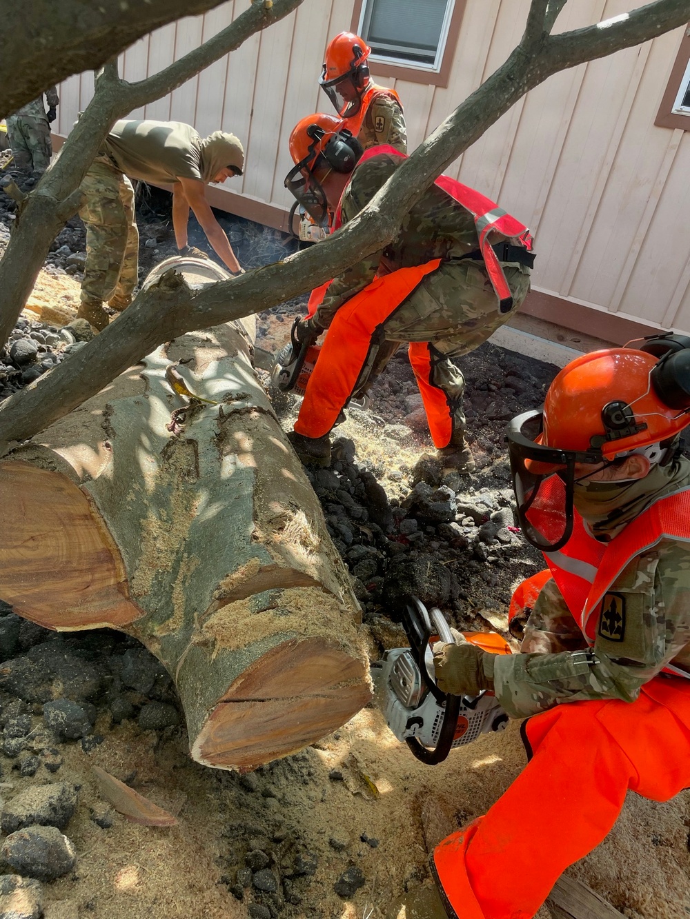 Military personnel in camouflage uniforms and high-visibility orange chainsaw safety gear are cutting up a large fallen tree near a building. At least three workers wearing orange helmets with face shields and hearing protection are actively using chainsaws, while a fourth person in standard uniform assists. The ground is covered in dark ash or charred debris, sawdust, and rocky material, suggesting post-fire disaster relief or debris clearing operations.