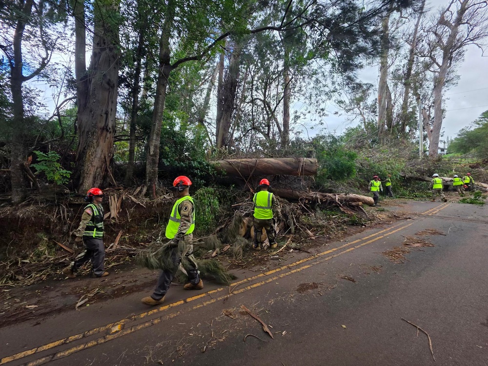 A road clearance operation is underway following what appears to be storm or wind damage that caused multiple large trees to fall across a two-lane road. Workers wearing high-visibility yellow vests and red safety helmets are actively removing fallen trees and debris. The scene suggests an emergency response effort to restore road access.
