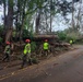 A road clearance operation is underway following what appears to be storm or wind damage that caused multiple large trees to fall across a two-lane road. Workers wearing high-visibility yellow vests and red safety helmets are actively removing fallen trees and debris. The scene suggests an emergency response effort to restore road access.