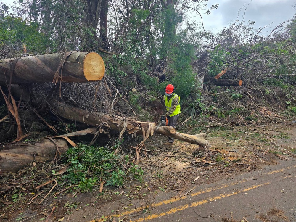 A worker in safety gear is using a chainsaw to cut through large fallen trees blocking a two-lane road, likely following a storm or severe weather event. Multiple large tree trunks and extensive debris are scattered across and alongside the roadway. The scene depicts active emergency road clearance operations.