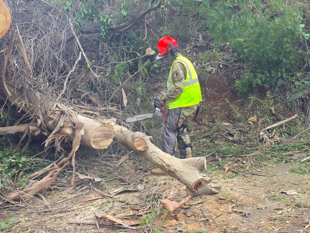 A worker in military-style camouflage uniform and high-visibility safety vest is using a Husqvarna chainsaw to cut through fallen trees and debris. The scene appears to be a storm or disaster cleanup operation, with large downed tree trunks and scattered branches covering the ground. The worker is equipped with a red safety helmet and ear protection.