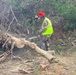 A worker in military-style camouflage uniform and high-visibility safety vest is using a Husqvarna chainsaw to cut through fallen trees and debris. The scene appears to be a storm or disaster cleanup operation, with large downed tree trunks and scattered branches covering the ground. The worker is equipped with a red safety helmet and ear protection.