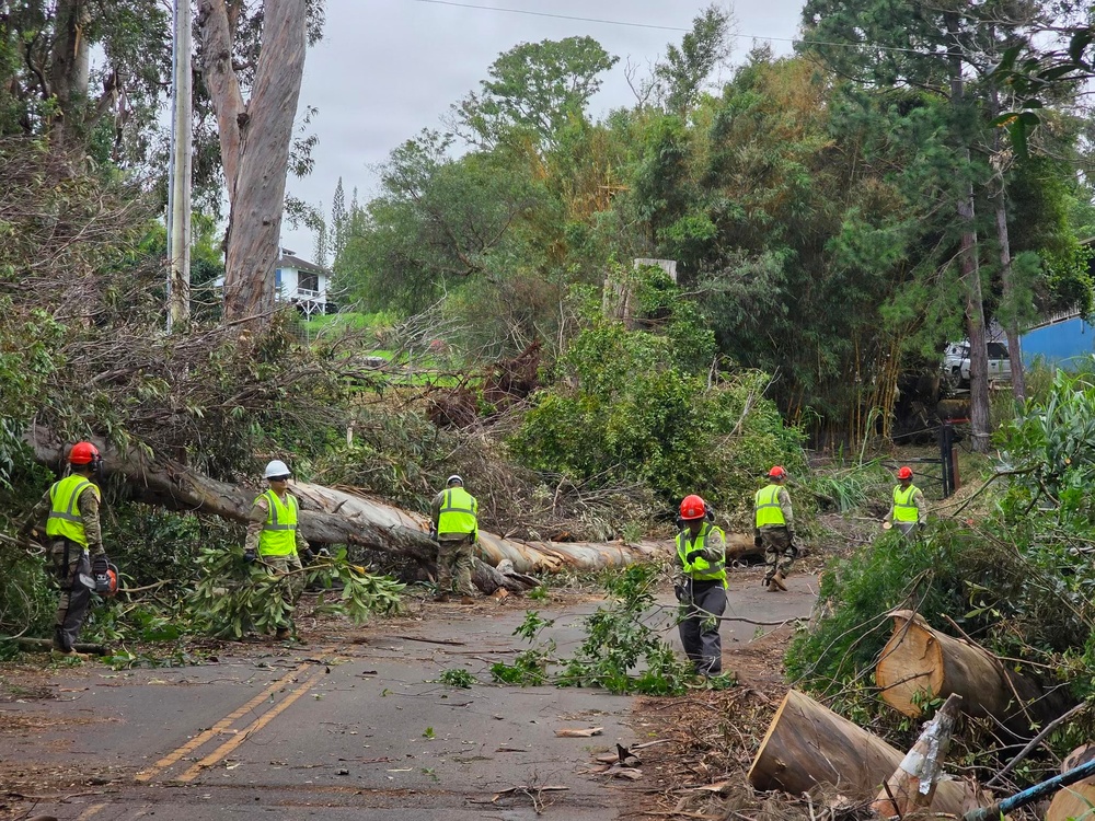 A road clearance operation is underway following what appears to be storm or wind damage that caused large trees to fall across a two-lane road. Multiple workers wearing high-visibility vests and safety helmets are actively cutting and removing fallen trees and debris. The scene suggests an emergency response or disaster recovery effort in a residential, tree-lined area.