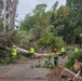 A road clearance operation is underway following what appears to be storm or wind damage that caused large trees to fall across a two-lane road. Multiple workers wearing high-visibility vests and safety helmets are actively cutting and removing fallen trees and debris. The scene suggests an emergency response or disaster recovery effort in a residential, tree-lined area.