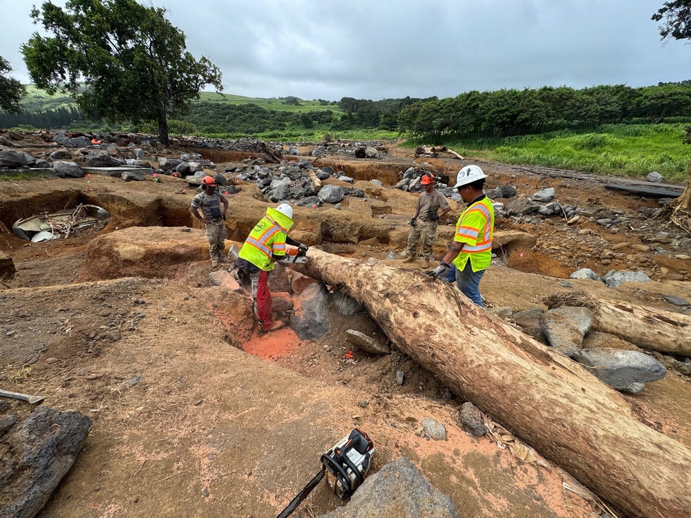 Workers in high-visibility safety vests and hard hats are conducting debris clearing operations in a flood or landslide-affected area. A worker is actively using a chainsaw to cut through a large fallen tree trunk amid scattered rocks, displaced soil, and debris. The landscape shows significant erosion and destruction, with green vegetation visible in the background suggesting a tropical or subtropical environment.