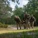 A group of military personnel in full combat gear are conducting a casualty evacuation drill in a wooded training area. Three soldiers are carrying what appears to be a simulated casualty on a litter or improvised stretcher along a dirt path. The setting appears to be a military training installation with mixed pine and deciduous forest.