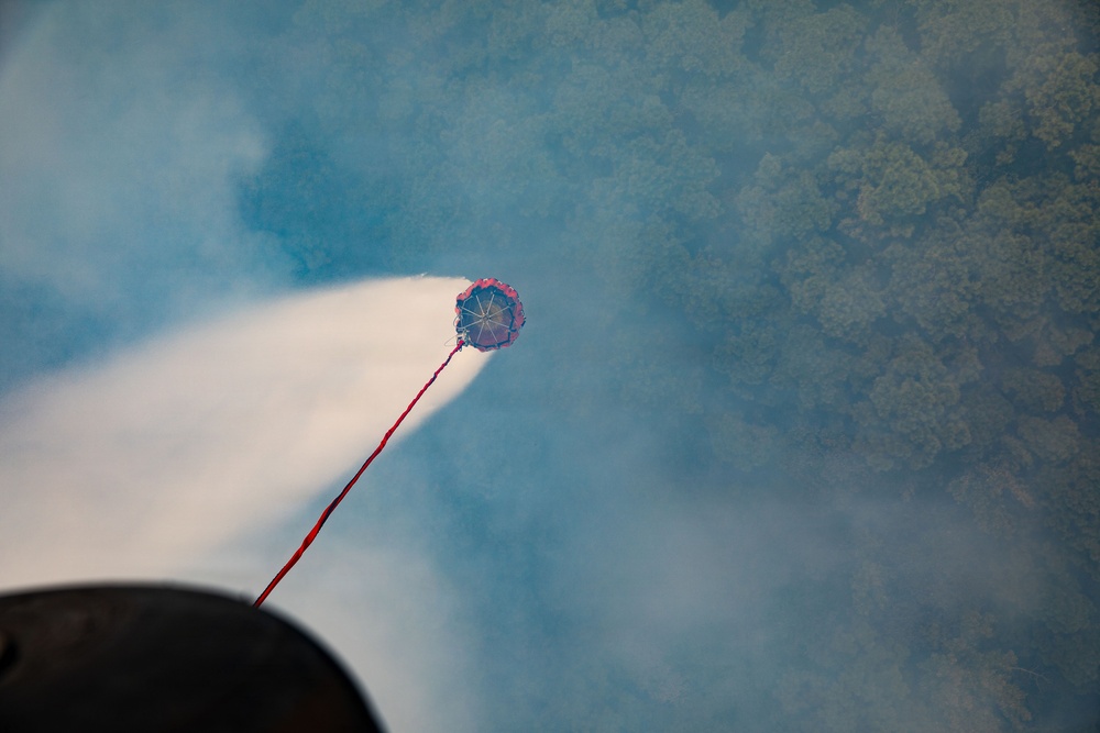 The image captures a small parachute or drogue chute being ejected from what appears to be a cannon or launch device, trailing a red cord amid a plume of white smoke. The perspective is taken from close to the launch apparatus, looking upward and outward. Trees are visible in the background through the haze of smoke.