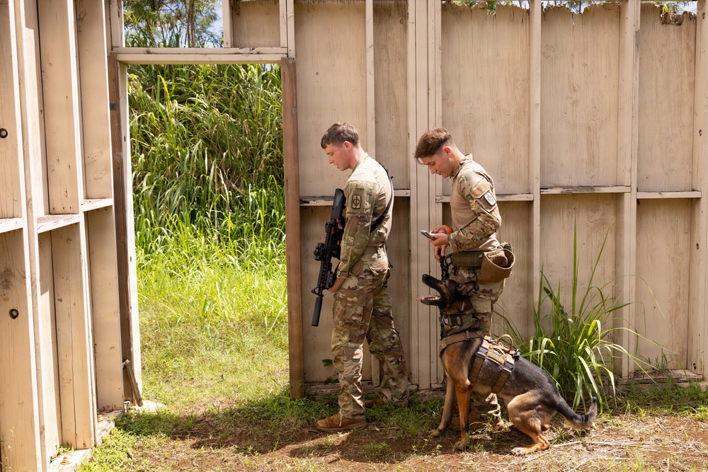 Two military personnel in MultiCam/OCP camouflage uniforms are conducting what appears to be a training exercise at a mock structure or shoot house. One soldier carries an assault rifle while the other holds a device (likely a phone or tablet) and handles a military working dog (MWD) in a tactical vest. The setting suggests a K9 handler training scenario at a military training facility.