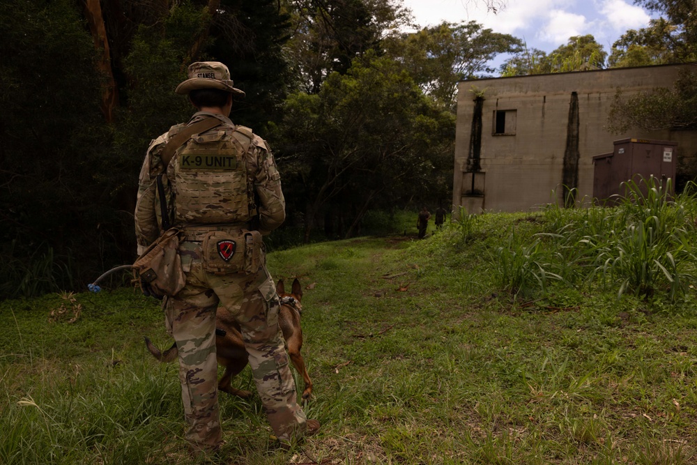 A military K-9 handler in full tactical gear stands with a military working dog, facing a deteriorating concrete structure in a vegetated outdoor environment. The handler's vest is clearly marked 'K-9 UNIT' and bears a unit patch, with a name tape reading 'STANGEL' on the hat. The scene appears to be a training exercise or patrol operation near an abandoned or mock building.