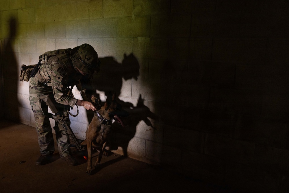 A fully equipped military or law enforcement operator in multicam/OCP camouflage uniform interacts with a military working dog (appears to be a Belgian Malinois) in a low-light, concrete block structure. The handler is leaning down toward the dog, appearing to reward or direct it, suggesting a training or operational scenario. Dramatic shadows of both the handler and dog are cast on the cinder block wall behind them.